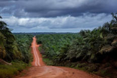 West Papua tribe at risk of losing homeland after court ruling: NGOs