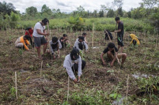 Nature’s lessons: Palangka Raya University students plant trees in a peatland forest on March 22. 2022, in the Central Kalimantan capital of Palangka Raya as part of the commemoration of World Forest Day.