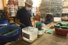 Chewed for millennia, coca leaf gets flavorsome makeover in Bolivia