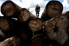 An agent of the Brazilian Institute for the Environment and Renewable Natural Resources (IBAMA) inspects a tree extracted from the Amazon rainforest, in a sawmill during an operation to combat deforestation, in Placas, Para State, Brazil January 20, 2023. 