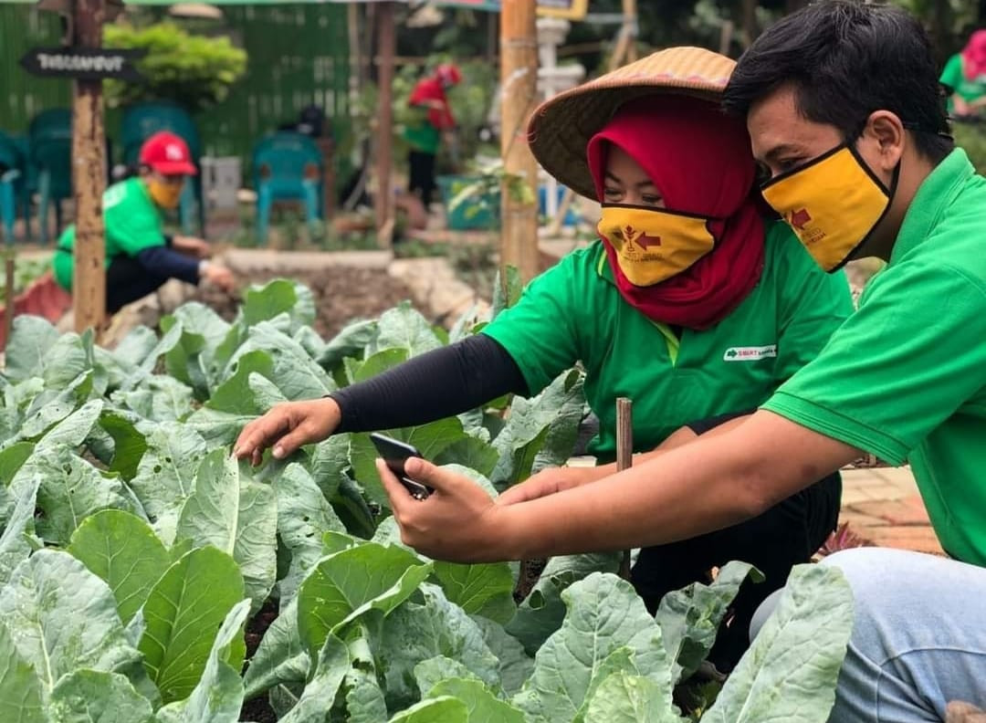 Economic value: Urban farmer Yuliana Darmawan increased her financial security by growing several of her own vegetables. (Courtesy of Yuliana Darmawan)