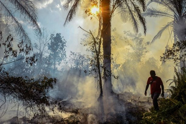 A man walks through burning peatland on April 1, 2022 in Kampar, Pekanbaru, Riau.