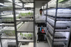 Indonesia lags behind in critical tech race