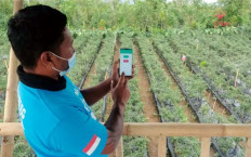 Navigating the digital economy for marginalized communities