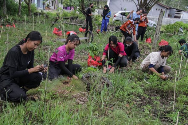 Students of Palangka Raya University participate in a tree-planting program in a peatland area in the Central Kalimantan provincial capital of Palangka Raya on April 15, 2023. Indonesian universities score high in their commitment to Sustainable Development Goals.