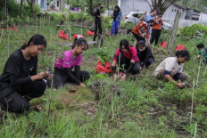 Healing our planet is now restoration, not just conservation