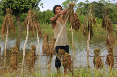 Indonesia must resist EU’s trade talk demands that undermine farmers’ rights