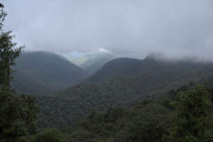 Picture of the cloud forest at the Intillacta Reserve near Nanegalito, in the Metropolitan District of Quito, Ecuador, on May 31, 2023. From a peaceful forest to the center of dispute, the Andean Choco, near Quito, will stake its future in a popular consultation promoted by environmentalists and residents gathered under the collective “Quito Without Mining“ who intend to stop metal mining in this biosphere reserve.