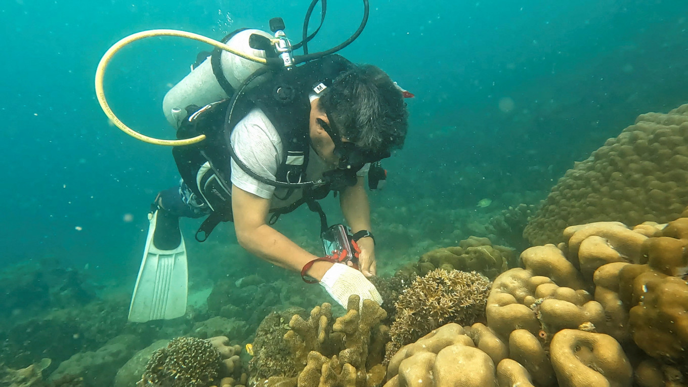 Scientist and lecturer Syafyudin Yusuf, 54, dives as he investigates coral in the waters of Badi Island, South Sulawesi province, Indonesia, May 29, 2023. 