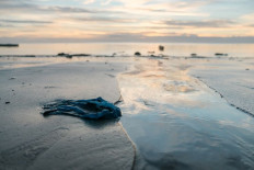 Collaboration key to nurturing resilience of oceans we share 