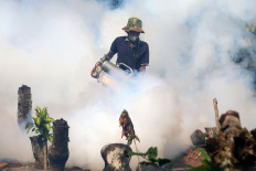 A health worker fumigates in Soko village, Jombang, East Java, on June 9, 2023, following medical reports of 43 people found with symptoms of chikungunya, a viral disease spread by the bite of infected mosquitoes.