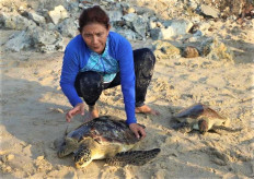 Celebrate communities that are protecting turtles