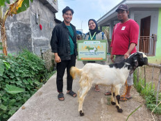 (Left to right) Addin Fahmi, ECF Malang farmer relations; Inayah Andari Pangesti, ECF Malang farmer relations; and Choirul Anam, ECF Malang farmer partners attend the handover of sacrificial animals for Idul Adha in Malang on Wednesday.