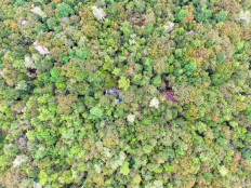 Taking sustainability beyond words