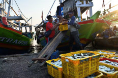 Fishermen in Batang, Central Java, manage their catches in the harbor.