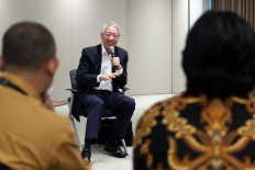 Singapore looks elsewhere amid doubt over RI green power exports