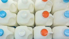 Pressure mounts on South Korea’s milk producers to cut prices