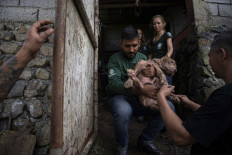 North Sulawesi bans infamous dog and cat meat trade