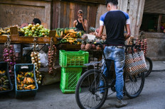 Cuban economy minister says no quick fix to devastating crisis