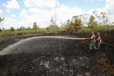 Supreme Court fines company Rp 920 billion over West Kalimantan forest fires