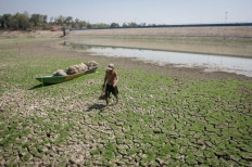 Drying up: A man carries his catch on Aug. 8, 2023 after fishing the receding waters of the Tandon Reservoir in Selogiri district in Wonogiri regency, Central Java. The Meteorology, Climatology and Geophysics Agency has forecast that the drought in the regency will peak either this month or next month.
