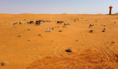 Saudi border guards kill hundreds of Ethiopian migrants: HRW