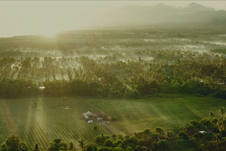 According to Ida Bagus Rai Budarsa, climate is a particular problem for Indonesian winemakers when developing new wines. Wine-producing regions typically have four seasons, although Indonesia only has two. As a result, they must select the appropriate grape