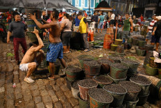 Acai berry craze: Boon or threat for the Amazon?