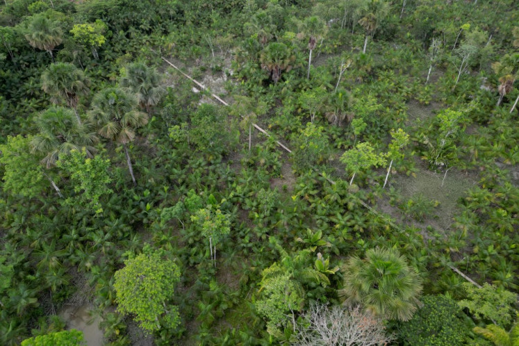 Aerial view of an acaí palm plantation in Abaetetuba, Para State, in the Brazilian Amazon Forest, on August 4, 2023. 
