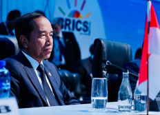 BRICS' temptation and Indonesia's free and active foreign policy 