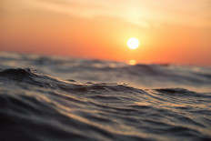 What are marine heatwaves and are they happening more often?