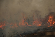 Govt goes all in to extinguish wildfires