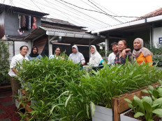 PNM customers engage in urban farming to support stunting-prevention program