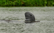 Pertamina’s sustained commitment to corporate social responsibility (CSR) and environmental, social and corporate governance (ESG) was showcased at the 15th Global CSR & ESG Summit & Awards 2023 in Vietnam for the Endemic Conservation Program of Mahakam Irrawaddy Dolphins.