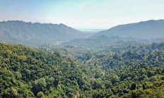 Demystifying the OJK’s carbon trading regulatory framework