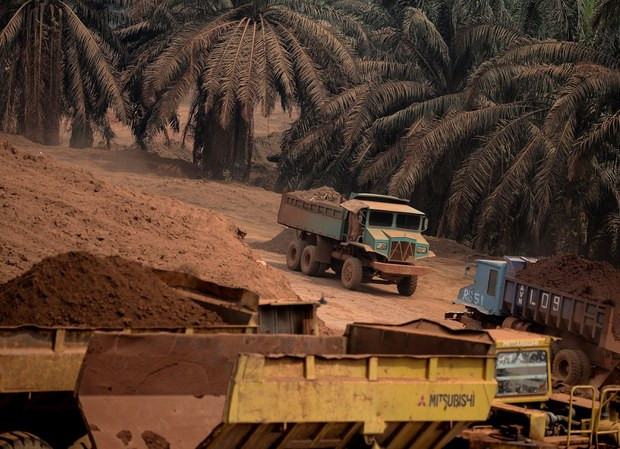 Antam Eyes Domestic Market To Compensate Bauxite Sales Amid Export Ban ...