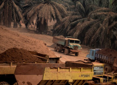 Antam eyes domestic market to compensate bauxite sales amid export ban