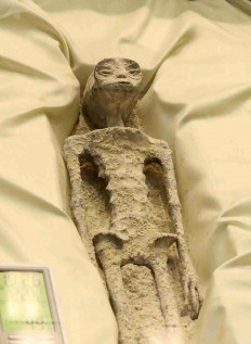 Remains of an allegedly 'non-human' being is seen on display in a box during a briefing on unidentified flying objects, known as UFOs, at San Lazaro legislative palace in Mexico City, Mexico September 12, 2023.