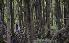 Fraud poses a clear and present danger to COP28 projects