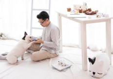 From Frenchie to fortune: Kurobokan spotlights Indonesia-designed toys