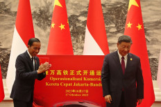 Jokowi fails to share Japanese loan experience with President Xi