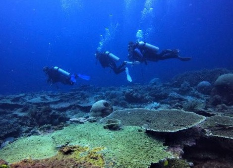 Divers explore a coral reef on Sept. 7, 2023 in the Tomia Sea in Wakatobi, Southeast Sulawesi.