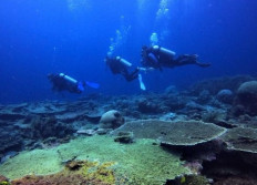 The ocean is not just a carbon sink