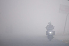 Indonesia’s forest fires decline by 30 percent despite El Niño: Ministry