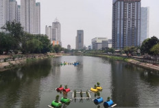 The right to clean air 