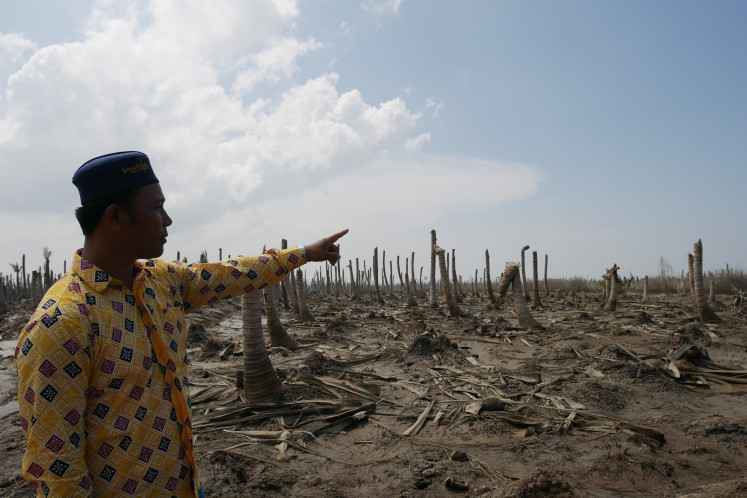 There goes my land: Imam Taufik, a coconut grower in Kuala Selat, Indragiri Hilir, Riau, points on July 26, 2023 to the land that used to be his coconut plantation. He has lost six plantations because of coastal erosion and seawater intrusion following mangrove deforestation.
