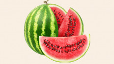 Watermelon first emerged as a symbol of Palestine's resistance in 1967, when Israel seized control of the West Bank and Gaza and annexed East Jerusalem. 