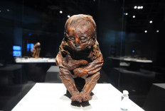 Mexican Congress holds second UFO session featuring Peruvian mummies