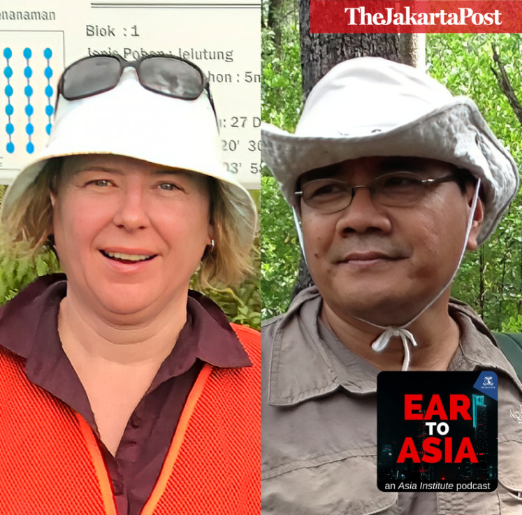 How the future of Indonesia's peatlands will shape climate change