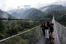 Tourism players feel sidelined by new ‘inclusive’ law